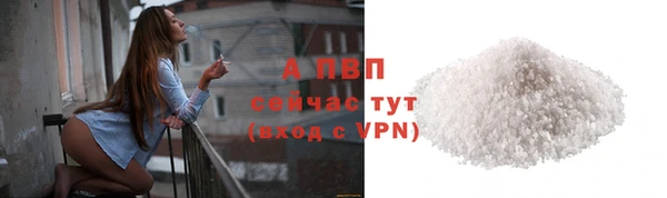 молекула духа Магадан