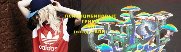 ешки Липки